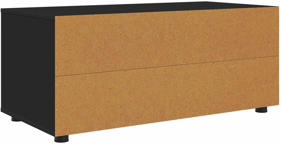 TV staliukas Televizoriaus spintelė 100 x 48 x 43 cm Juoda Apdirbta mediena