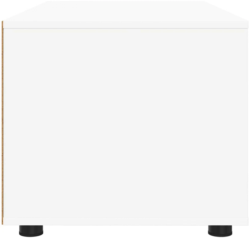 TV staliukas Televizoriaus spintelė 100 x 48 x 43 cm Balta Apdirbta mediena