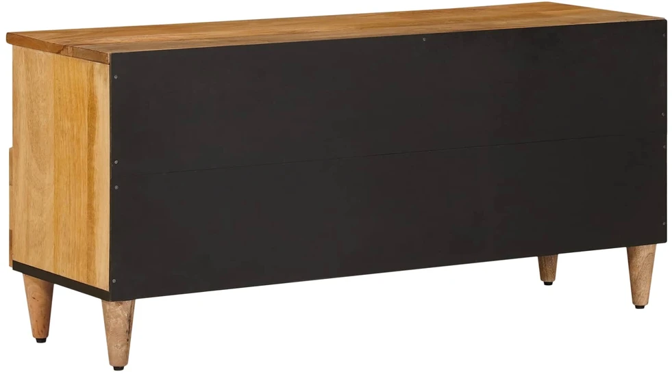 Televizoriaus spintelė su stalčių Natūrali 100 x 33 x 46 cm