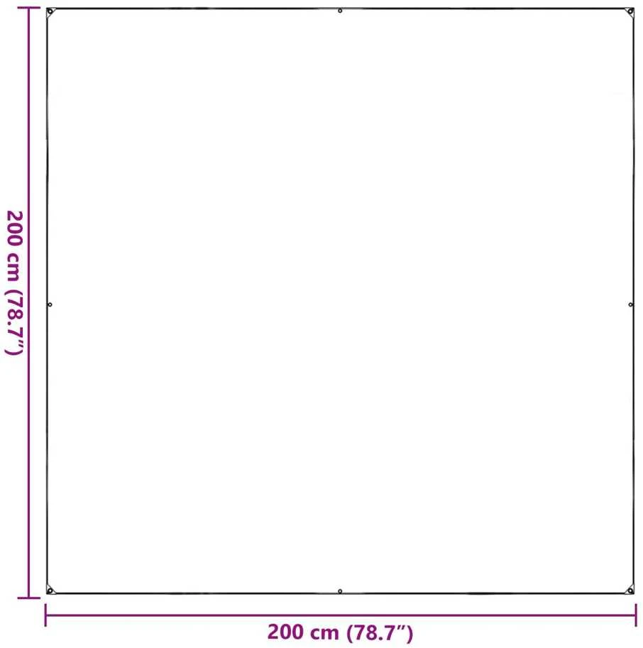Augalų uždangalas Skaidrus 2 x 2 m PVC