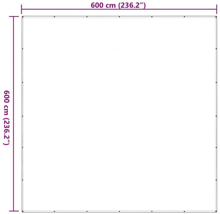 Augalų uždangalas Skaidrus 6 x 6 m PE