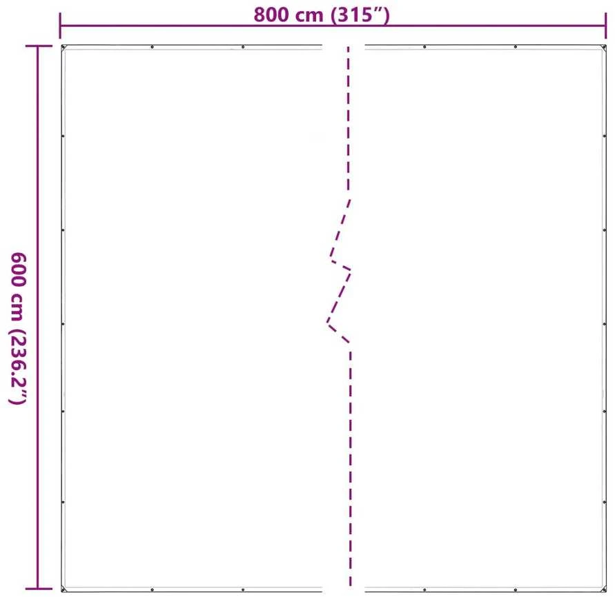 Augalų uždangalas Skaidrus 6 x 8 m PE