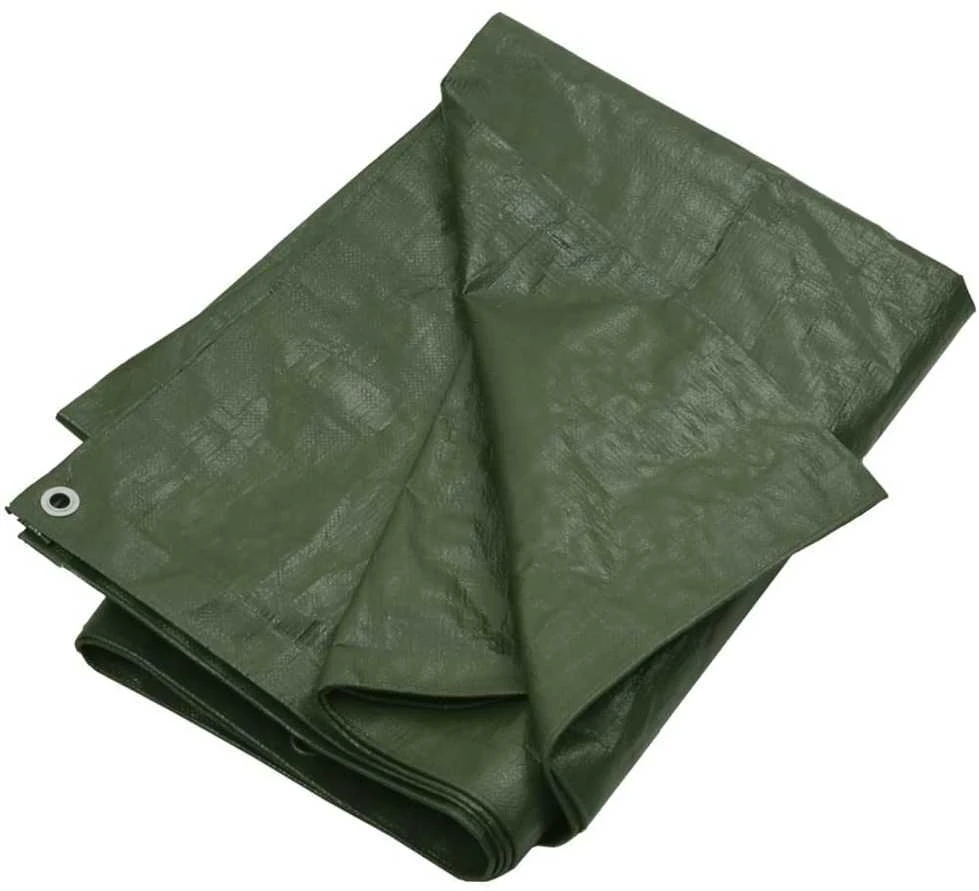 Tentas, žalios spalvos, 6x12m, 180g/m²