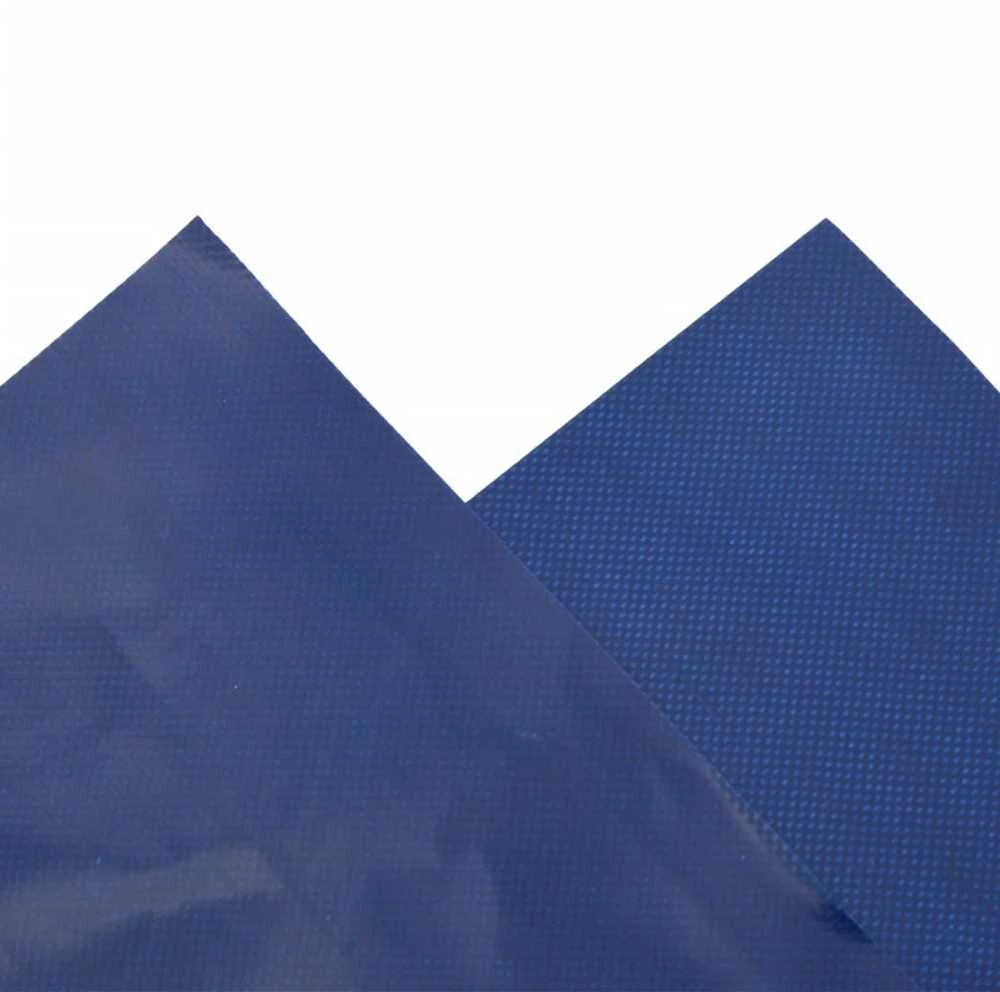 Tentas, mėlynos spalvos, 3x4m, 650g/m²