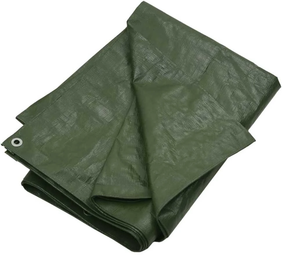 Tentas, žalios spalvos, 6x8m, 180g/m²