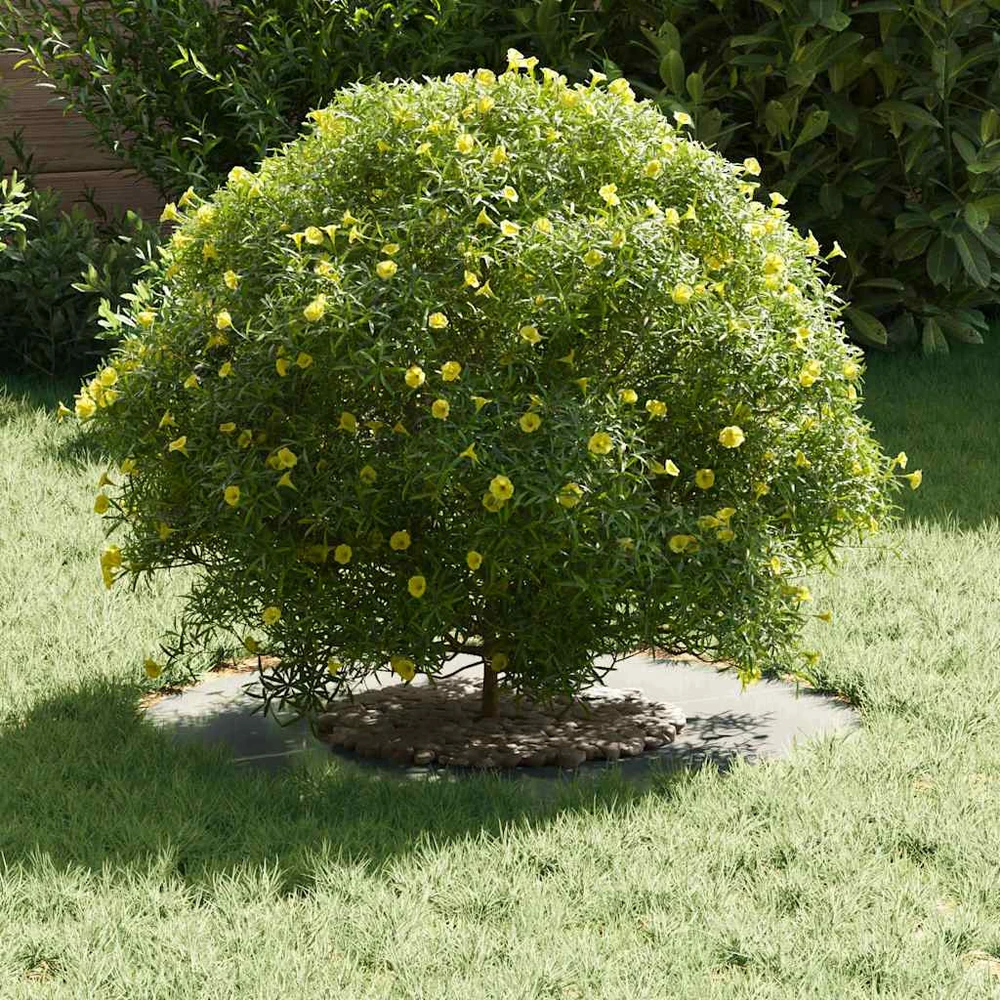 tinkamas plokščiam medžio žiedui Sidabro Ø30/60 cm