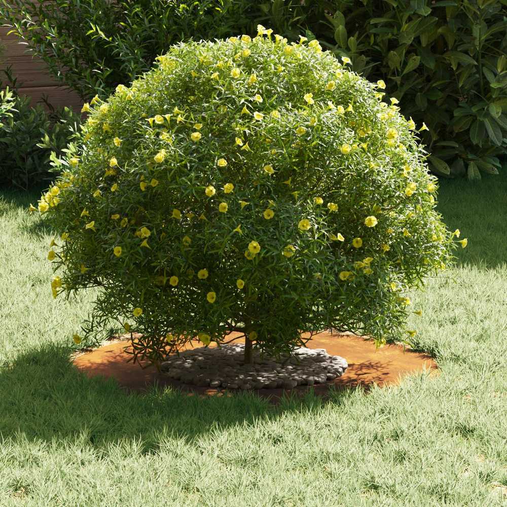 tinkamas plokštiems medžio žiedams 5 vnt. Rūdijanti Ø30/60 cm