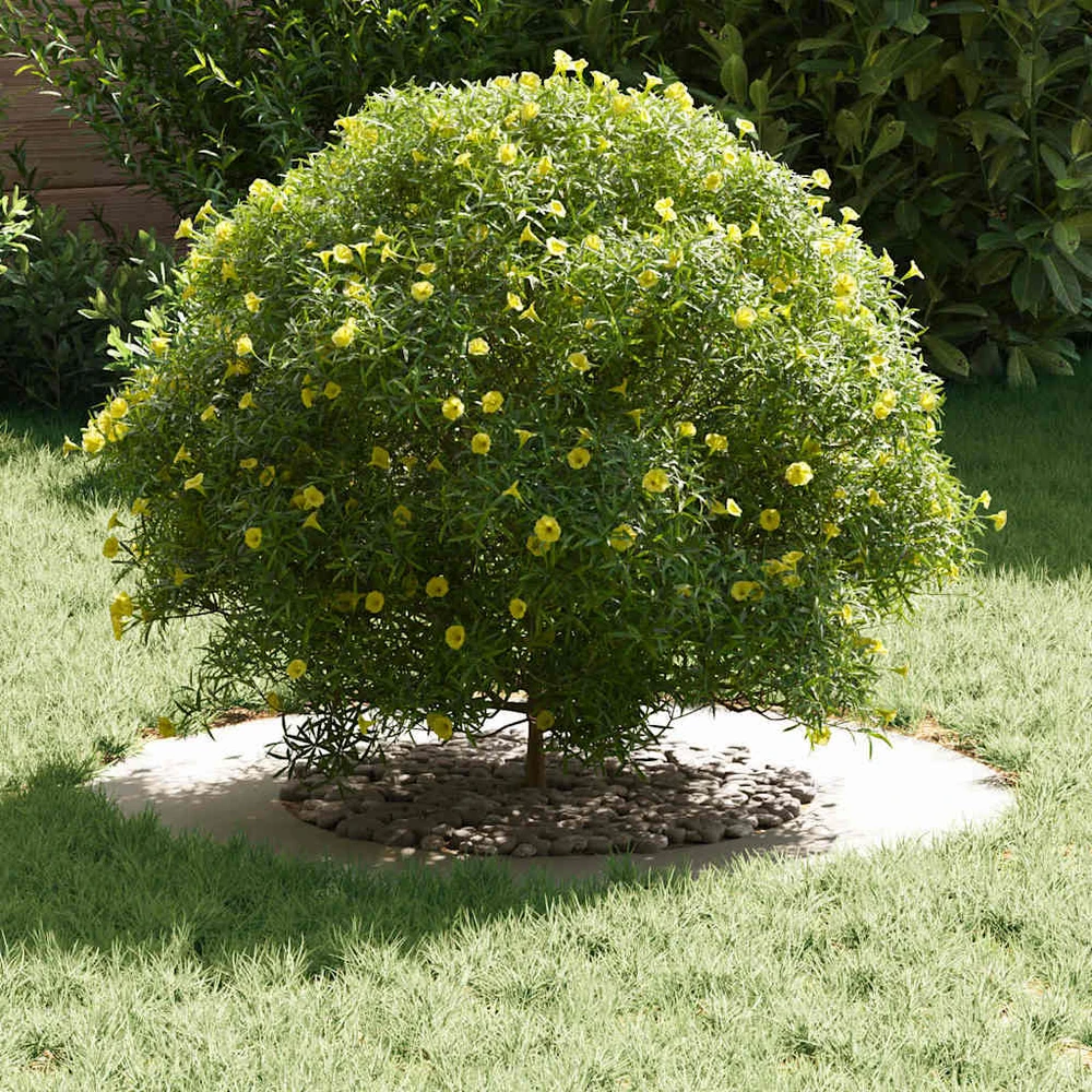 tinkamas plokštiems medžio žiedams 5 vnt. Balta Ø40/70 cm