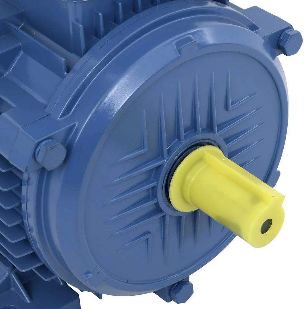 Trifazis elektros variklis, 4kW/5,5AG, 2 polių, 2840aps./min.