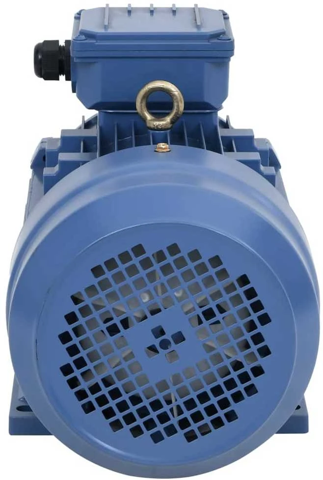 Trifazis elektros variklis, 4kW/5,5AG, 2 polių, 2840aps./min.