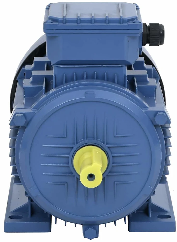 Trifazis elektros variklis, 4kW/5,5AG, 2 polių, 2840aps./min.