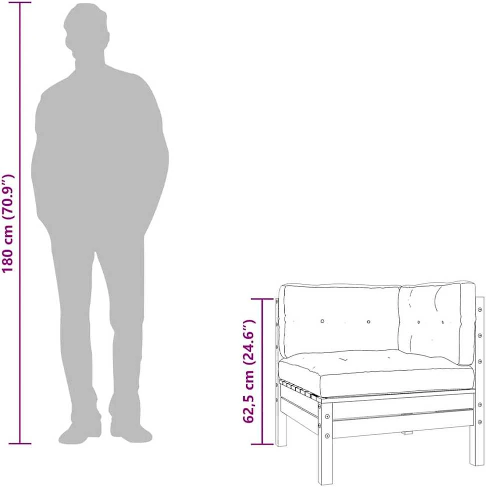 Dvivietė sodo sofa su pagalvėlėmis ir pakoja