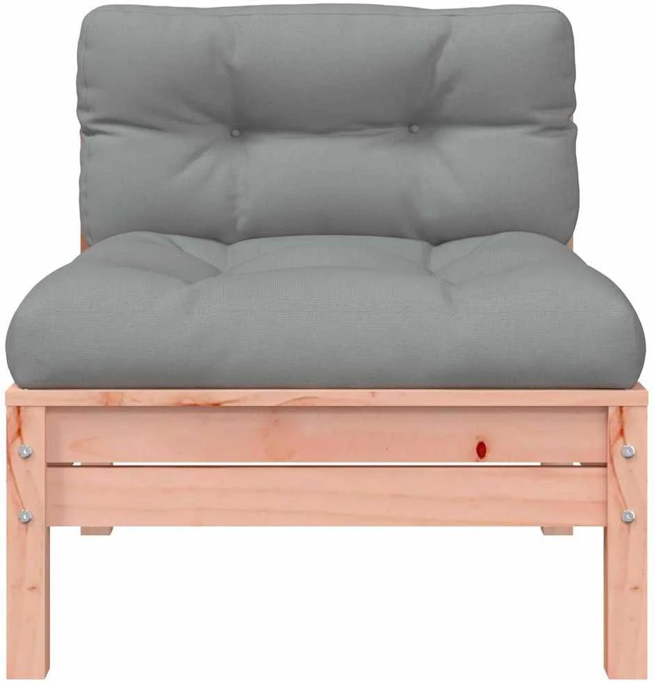 Dvivietė sodo sofa su pagalvėlėmis ir pakoja