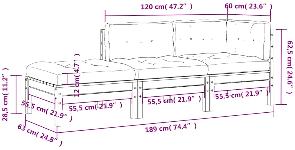 Dvivietė sodo sofa su pagalvėlėmis ir pakoja
