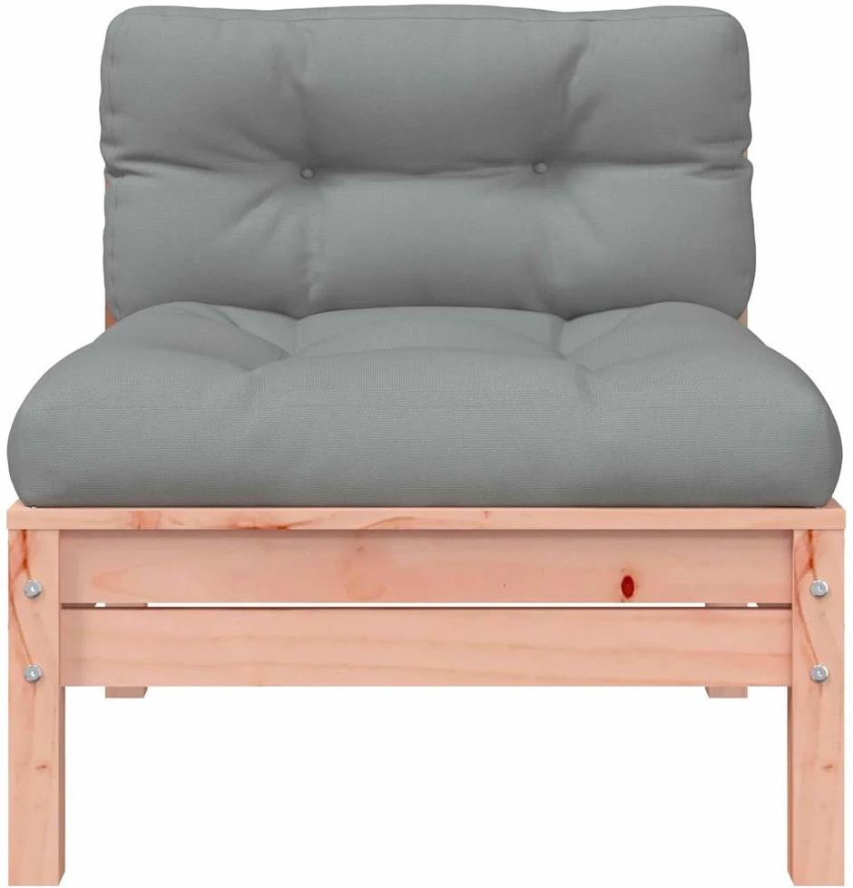 Dvivietė sodo sofa su pagalvėlėmis ir pakoja