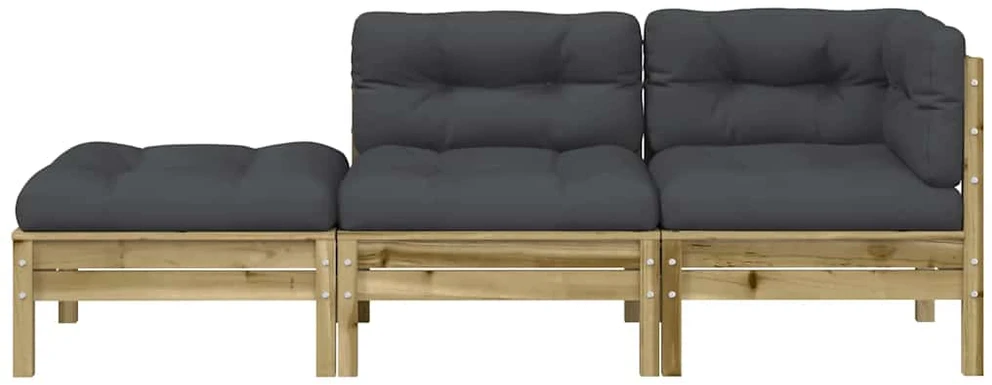Dvivietė sodo sofa su pagalvėlėmis ir pakoja