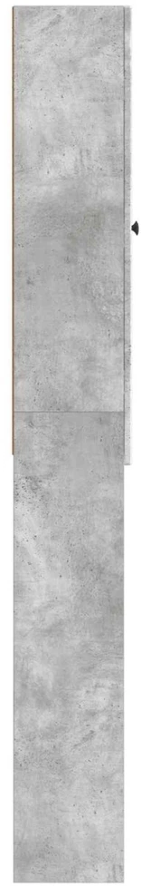 Tualeto spintelė EDE Betono pilka 66 x 25,5 x 190 cm