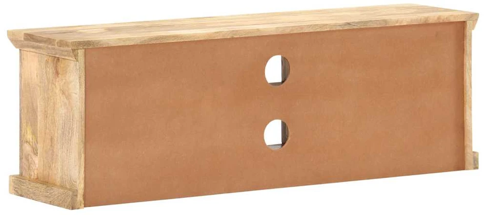 TV staliukas TV spintelė su plieno durelėmis, 120x30x40cm, mango masyvas