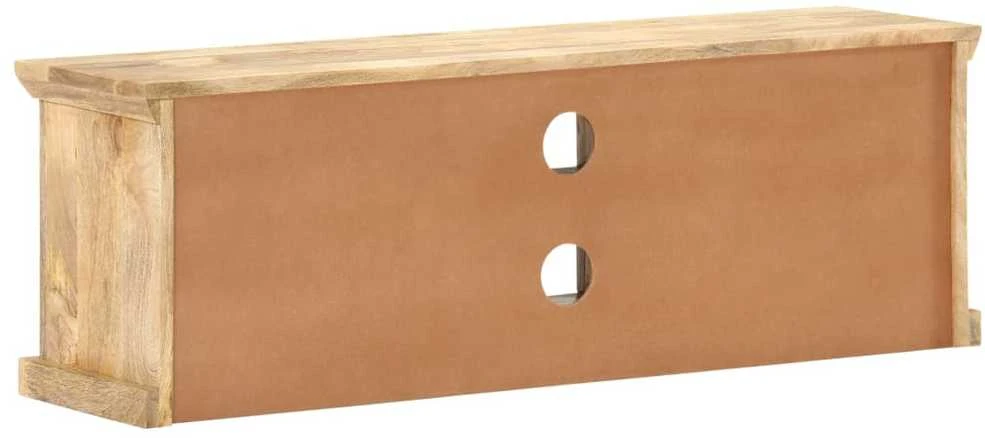 TV staliukas TV spintelė su plieno durelėmis, 120x30x40cm, mango masyvas