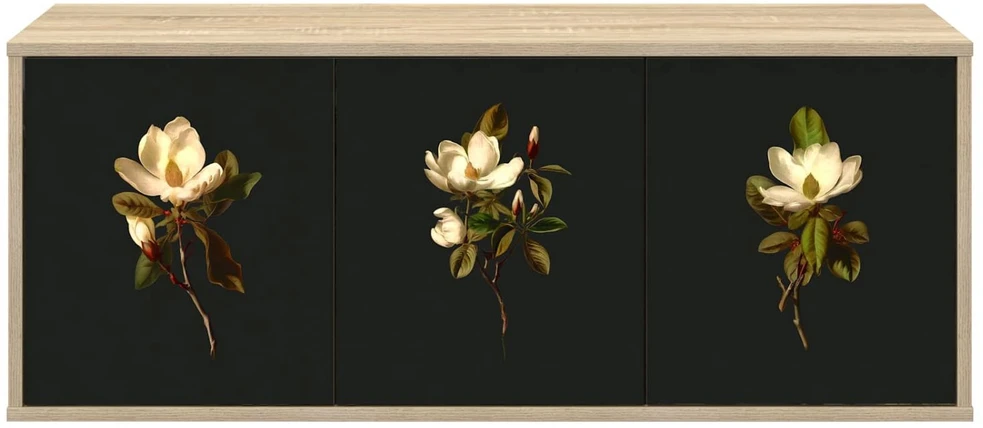 TV staliukas Sieninis televizoriaus stovas BREMEN 102 x 33 x 40 cm
