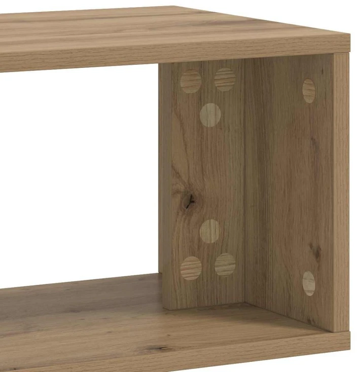 TV staliukas Televizoriaus spintelė 100 x 30 x 50 cm Artisano ąžuolo