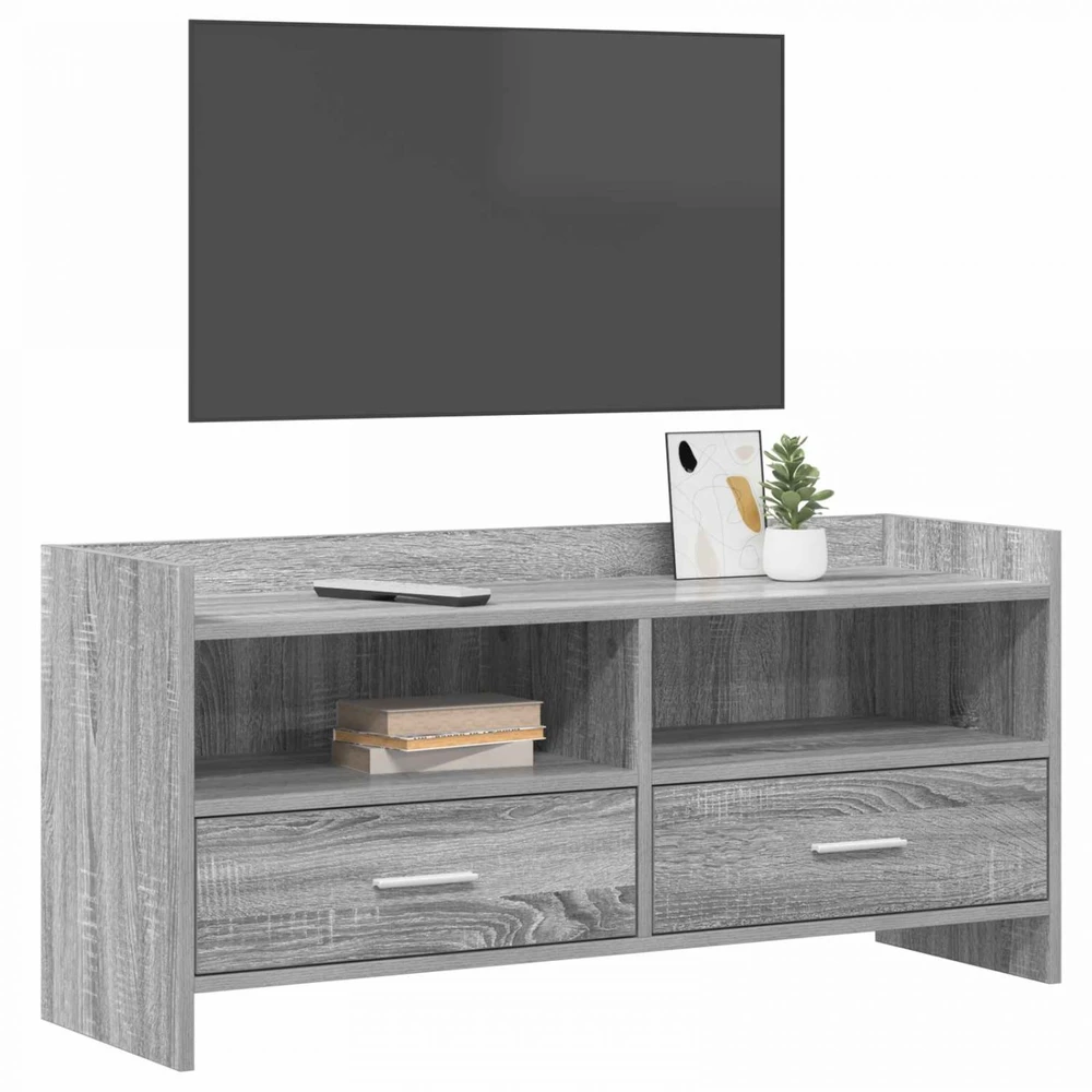 TV staliukas Televizoriaus spintelė 100 x 33 x 47 cm Pilka Sonoma