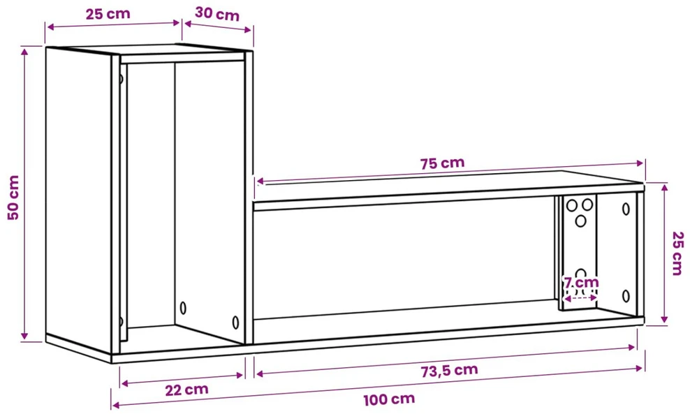 TV staliukas Televizoriaus spintelė 100 x 30 x 50 cm Artisano ąžuolo