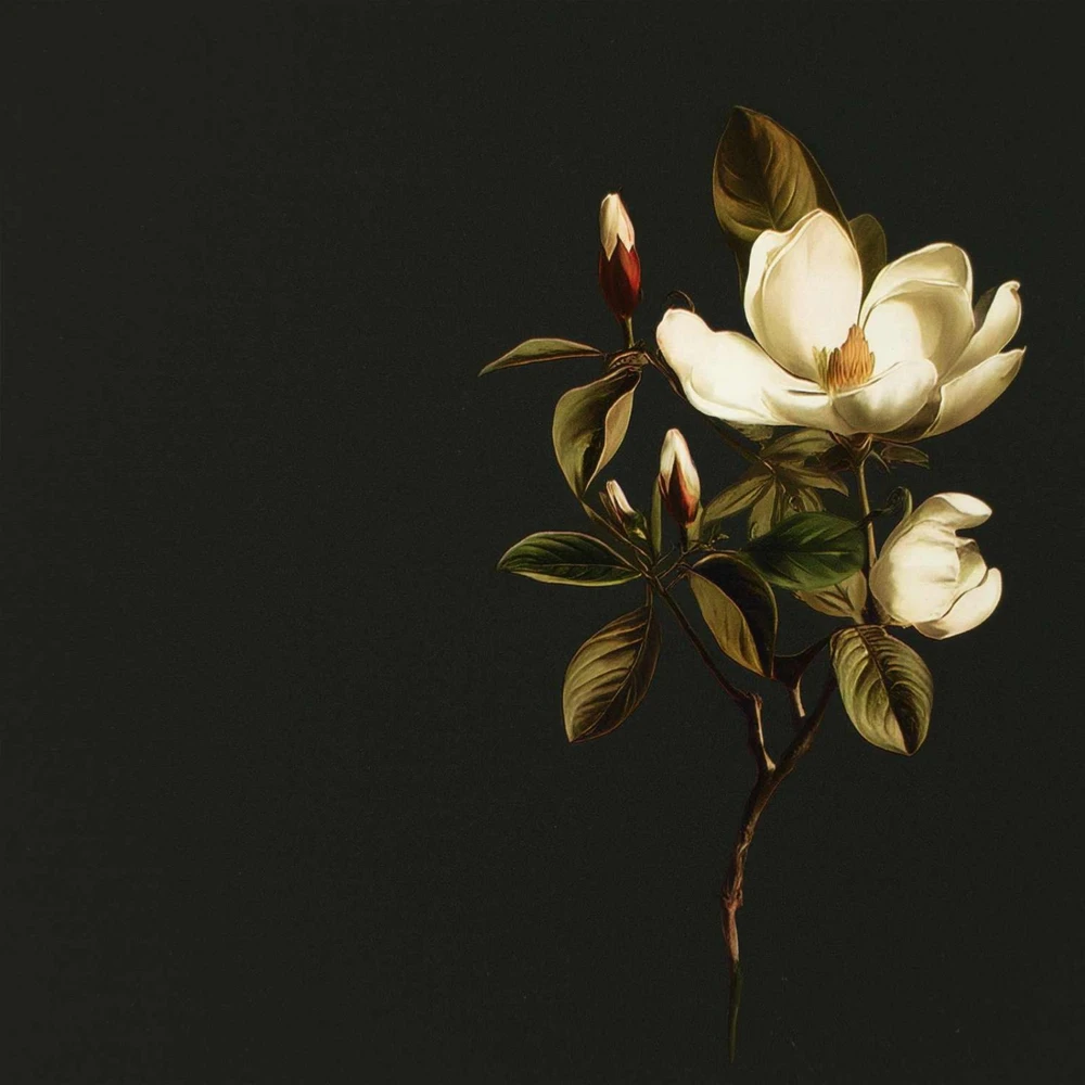 TV staliukas Televizoriaus spintelė BREMEN 69 x 33 x 50 cm Sonoma ąžuolo