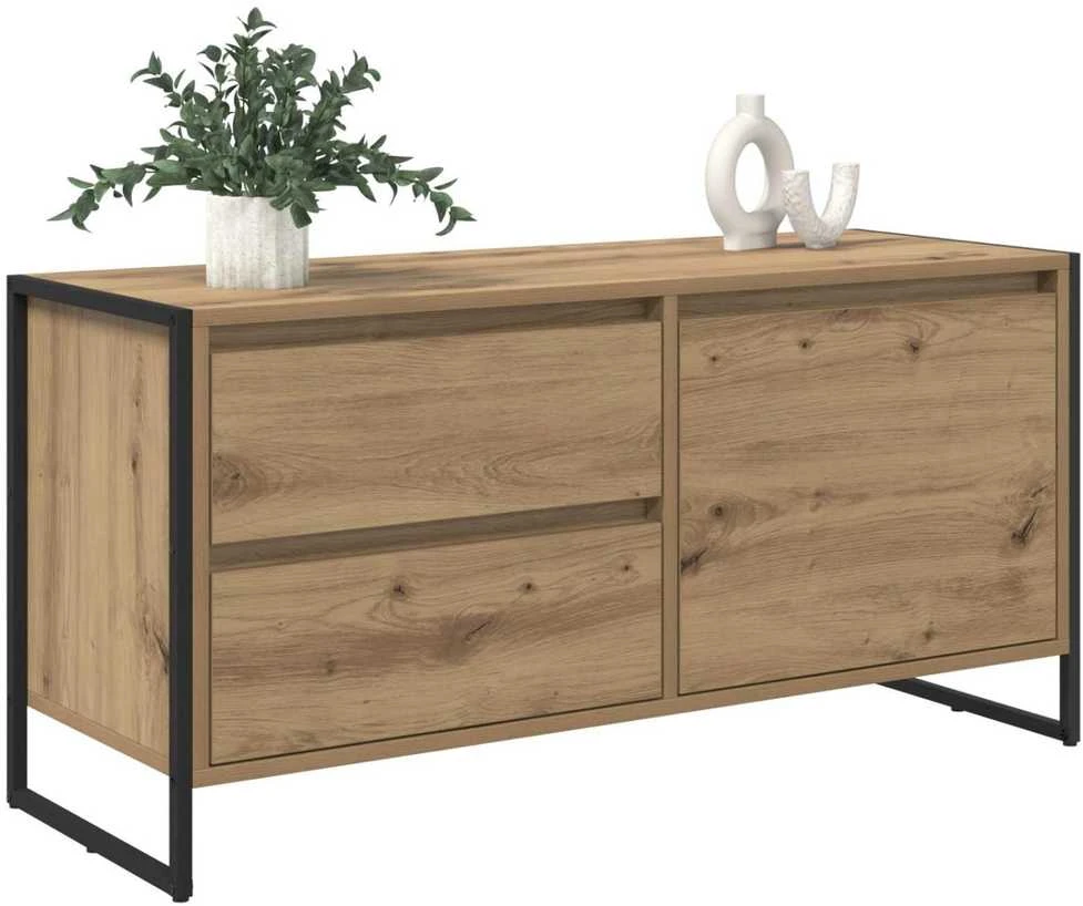 TV staliukas Televizoriaus spintelė 100 x 36 x 49.5 cm Meistrų ąžuolas