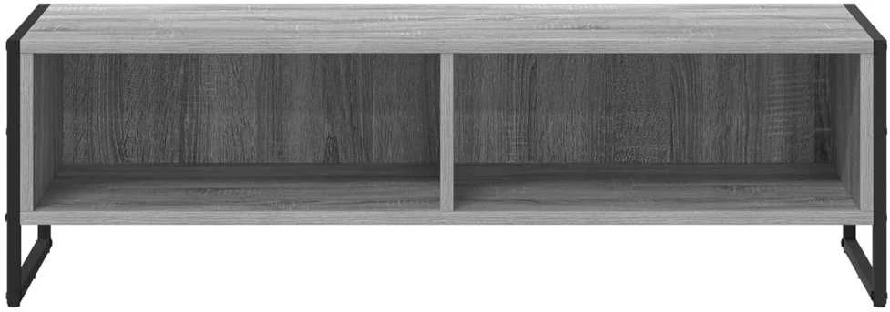 TV staliukas Televizoriaus spintelė 100 x 36.5 x 30.5 cm Pilkas Sonoma