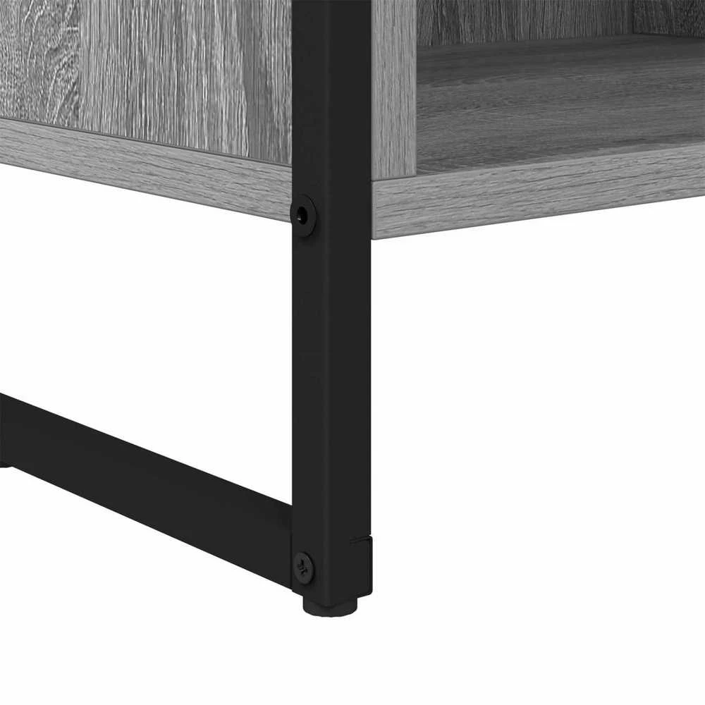 TV staliukas Televizoriaus spintelė 100 x 36.5 x 30.5 cm Pilkas Sonoma