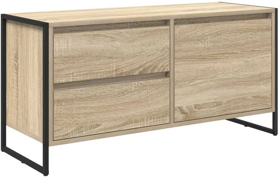TV staliukas Televizoriaus spintelė 100 x 36 x 49.5 cm Sonoma