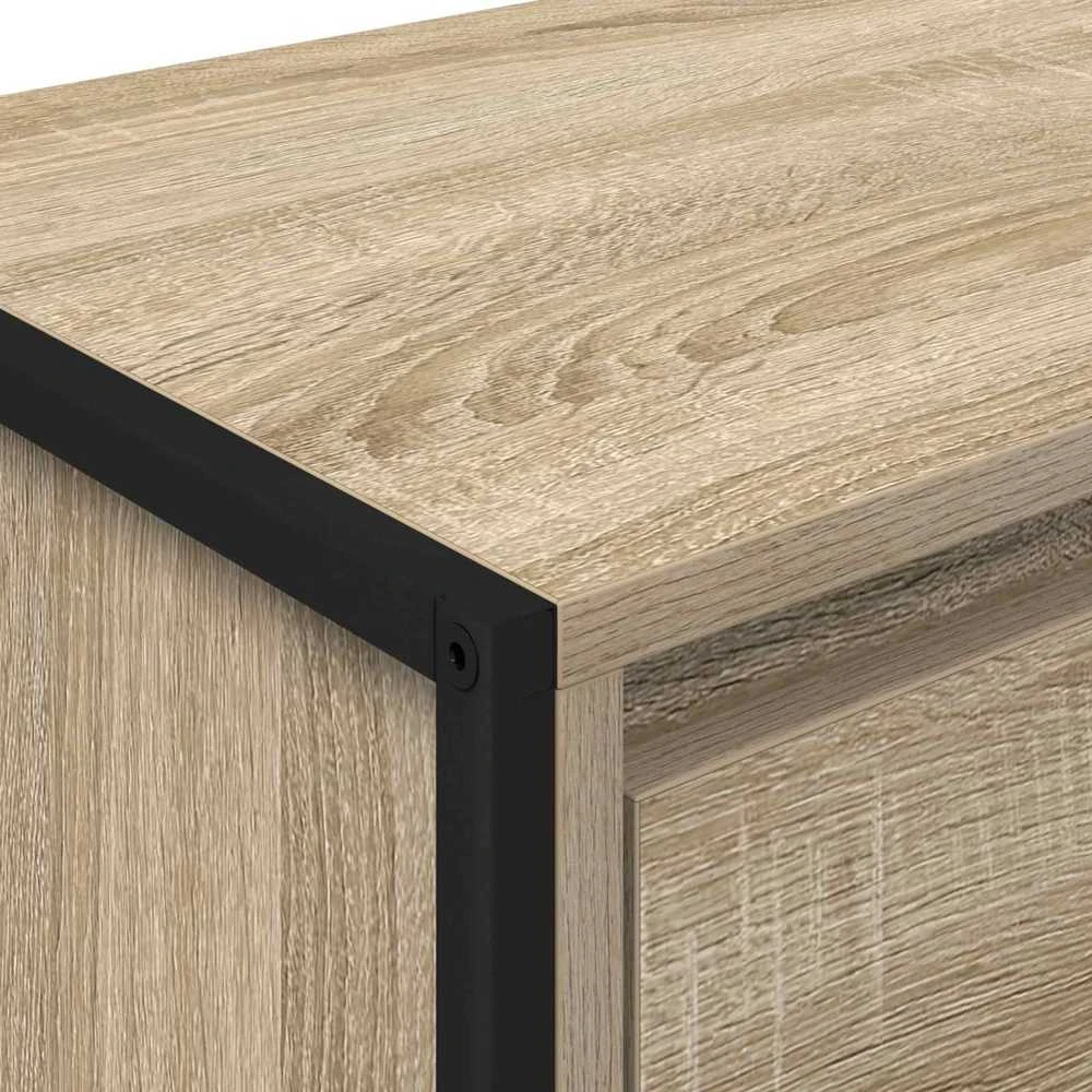 TV staliukas Televizoriaus spintelė 100 x 36 x 49.5 cm Sonoma
