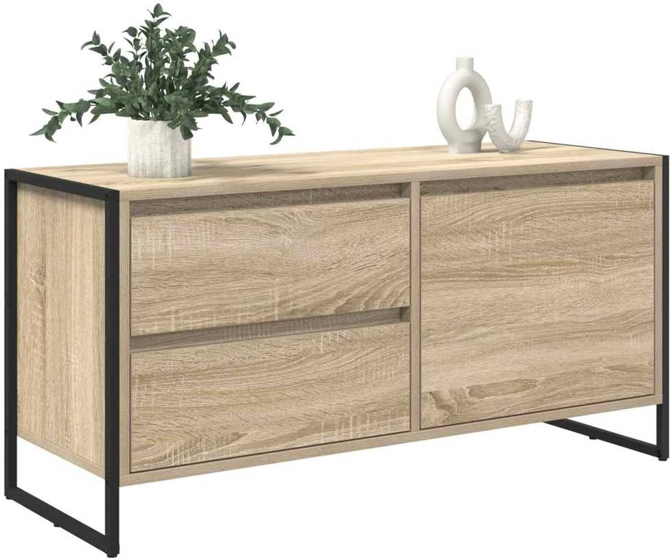 TV staliukas Televizoriaus spintelė 100 x 36 x 49.5 cm Sonoma
