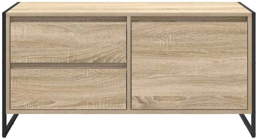 TV staliukas Televizoriaus spintelė 100 x 36 x 49.5 cm Sonoma