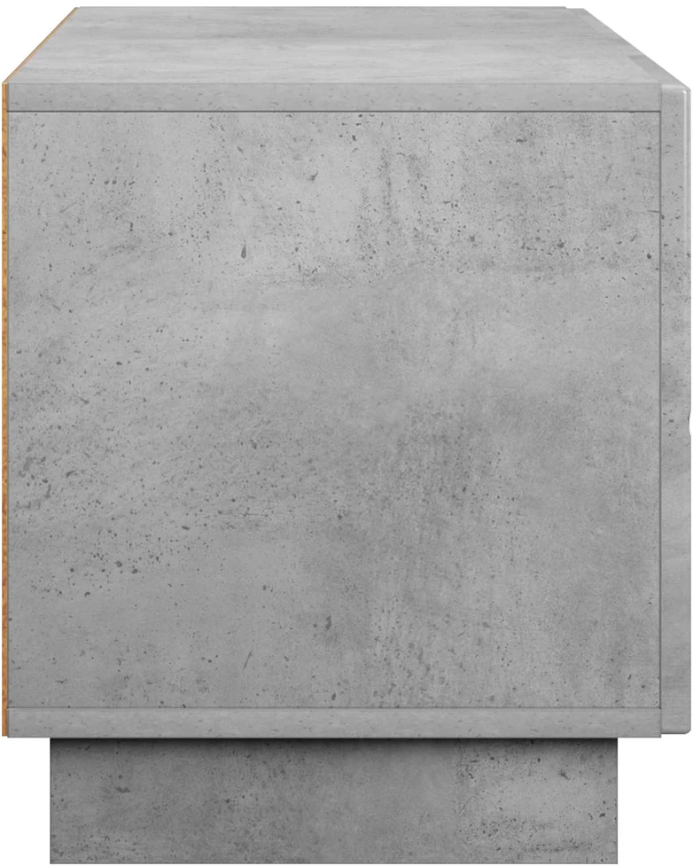 TV staliukas Televizoriaus stovas 90 x 34.5 x 40 cm Betono pilka