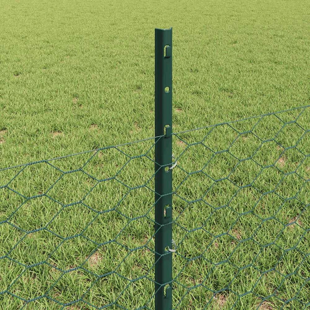 Hexagonal Fence with Post 100 x 0,5 m PVC dengtas plienas Žalia