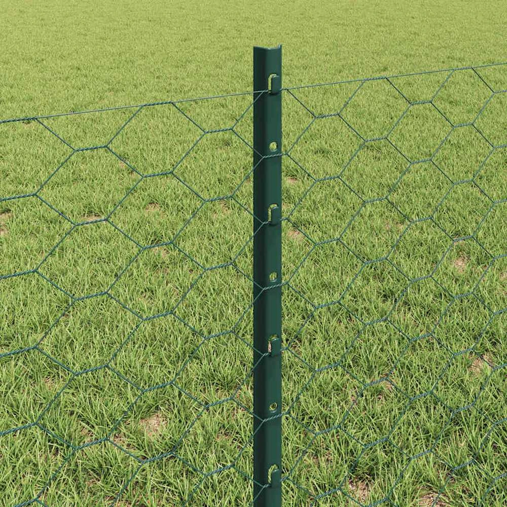 Hexagonal Fence with Post 50 x 0,6 m PVC dengtas plienas Žalia