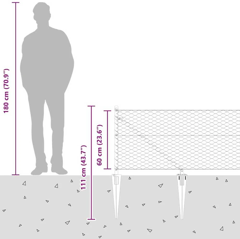 Hexagonal Fence with Post 100 x 0,6 m PVC dengtas plienas Žalia
