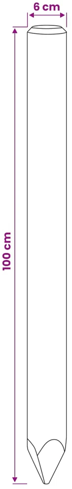 Tvorelių stulpai 10 vnt. Ruda 100 cm Pušies medienos masyvas
