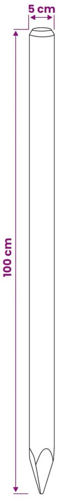 Tvorelių stulpai 15 vnt. Ruda 100 cm Pušies medienos masyvas