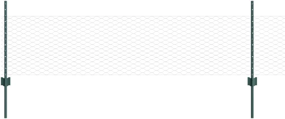 Hexagonal Fence with Post 100 x 0,5 m PVC dengtas plienas Žalia