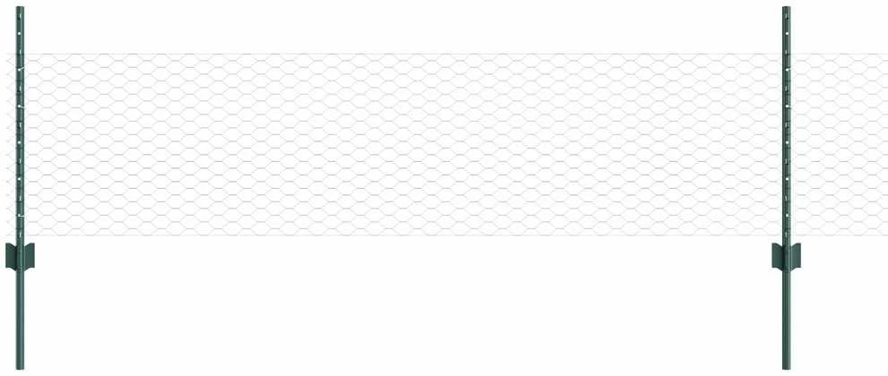 Hexagonal Fence with Post 100 x 0,5 m PVC dengtas plienas Žalia