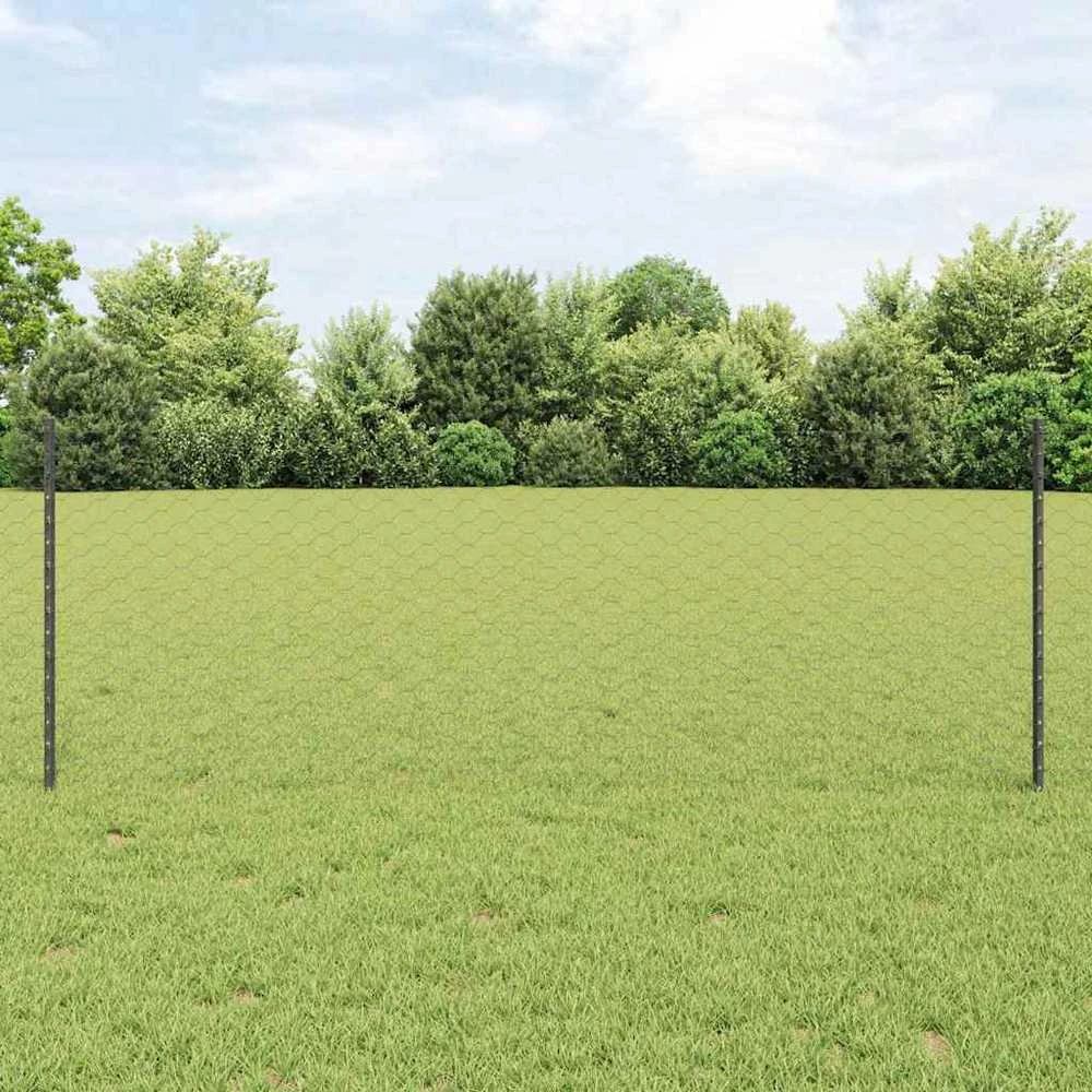 Hexagonal Fence with Post 25 x 0,8 m PVC dengtas plienas Pilka