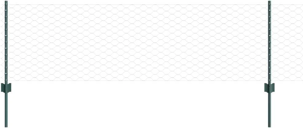 Hexagonal Fence with Post 50 x 0,6 m PVC dengtas plienas Žalia