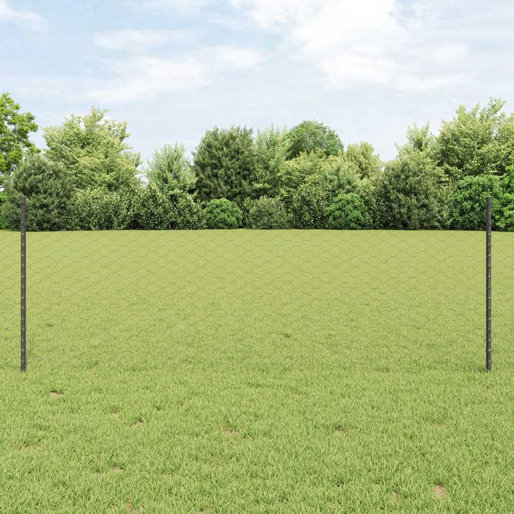 Hexagonal Fence with Post 100 x 0,8 m PVC dengtas plienas Pilka
