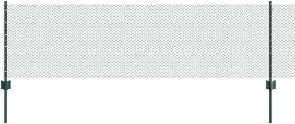 Hexagonal Fence with Post 10 x 0,6 m PVC dengtas plienas Žalia