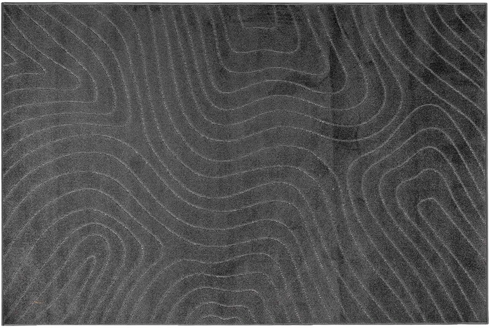 Vidaus ir lauko kilimas PALMERAS Antracitas 340 x 240 cm