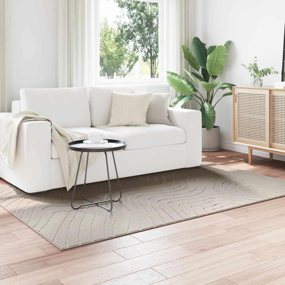 Vidaus ir lauko kilimas PALMERAS Kreminė 200 x 140 cm