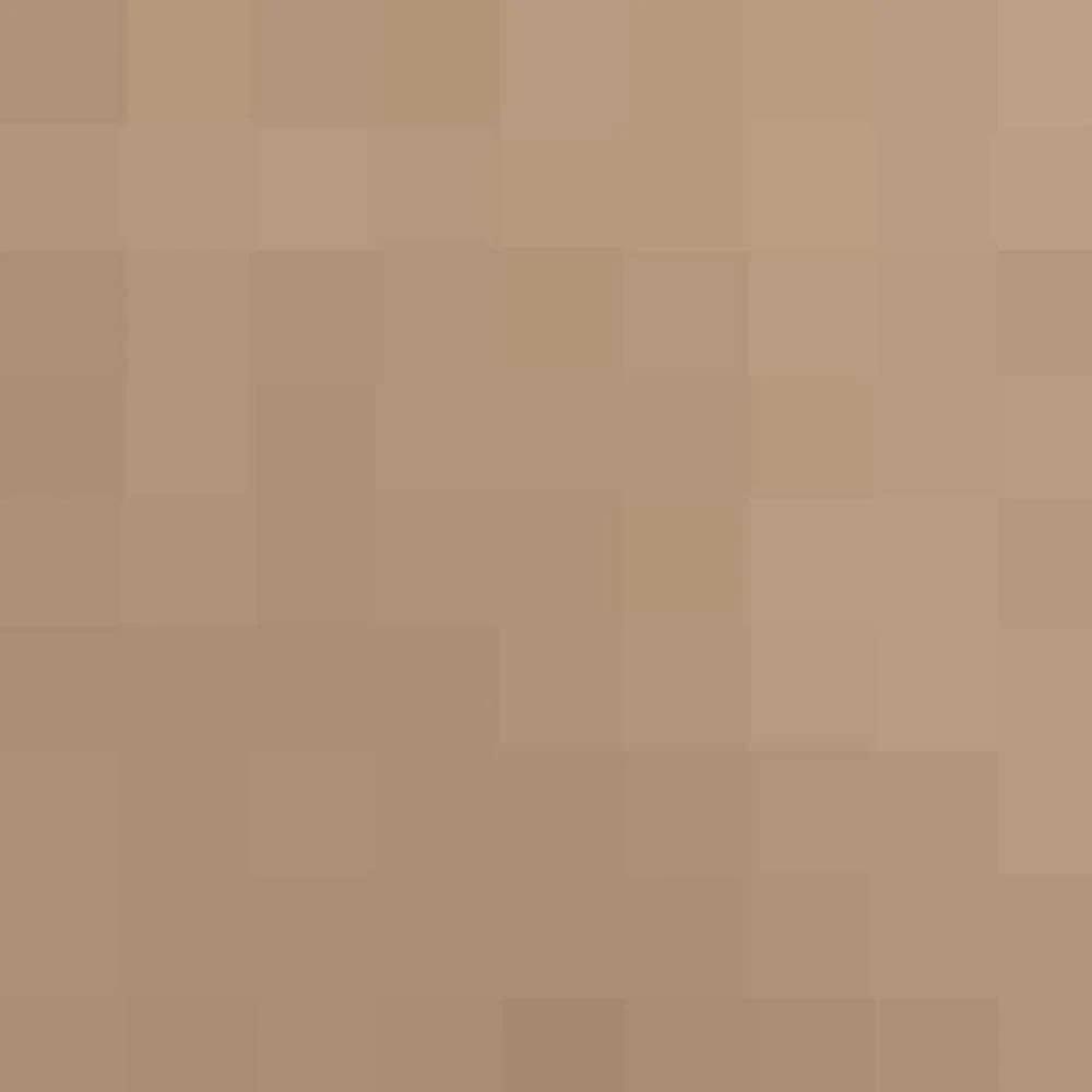 Uždanga nuo saulės, taupe spalvos, 4x4m, HDPE, 160g/m²